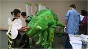 Chameleon 2016 GF